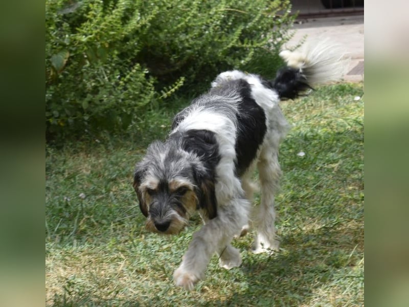 Ruby kleine Frohnatur