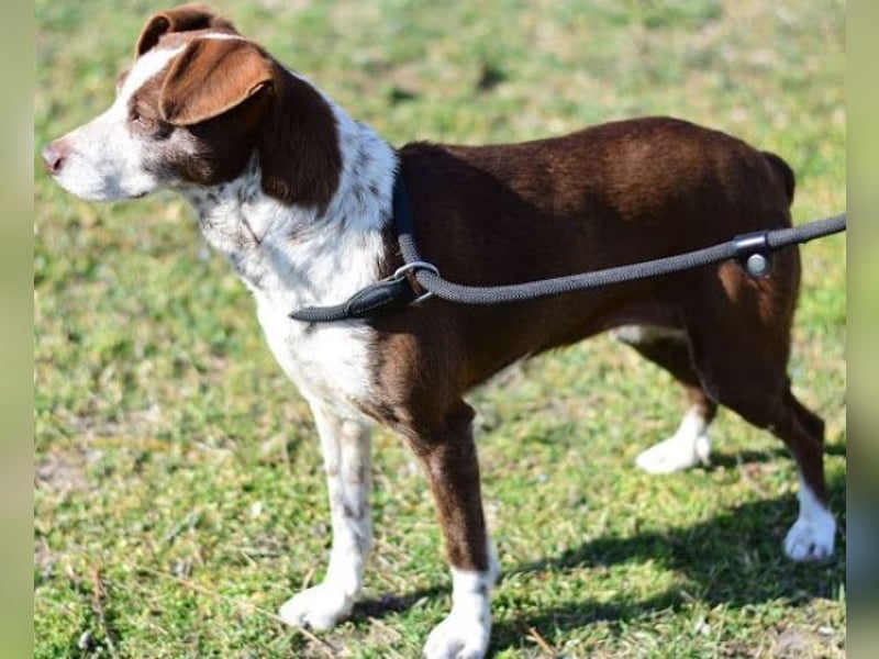 Tilda - liebenswerte Seniorin