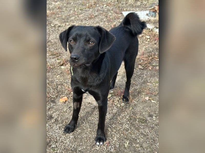 Willow black is beautiful