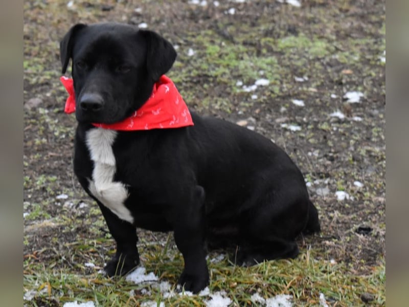 Misel von der Dunkelheit ins Licht