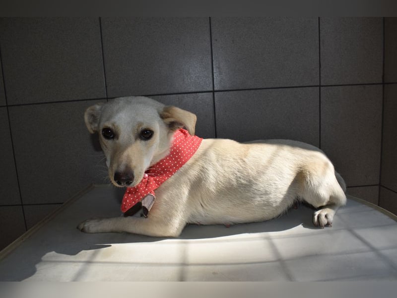 Lynn Ihre Lieblichkeit