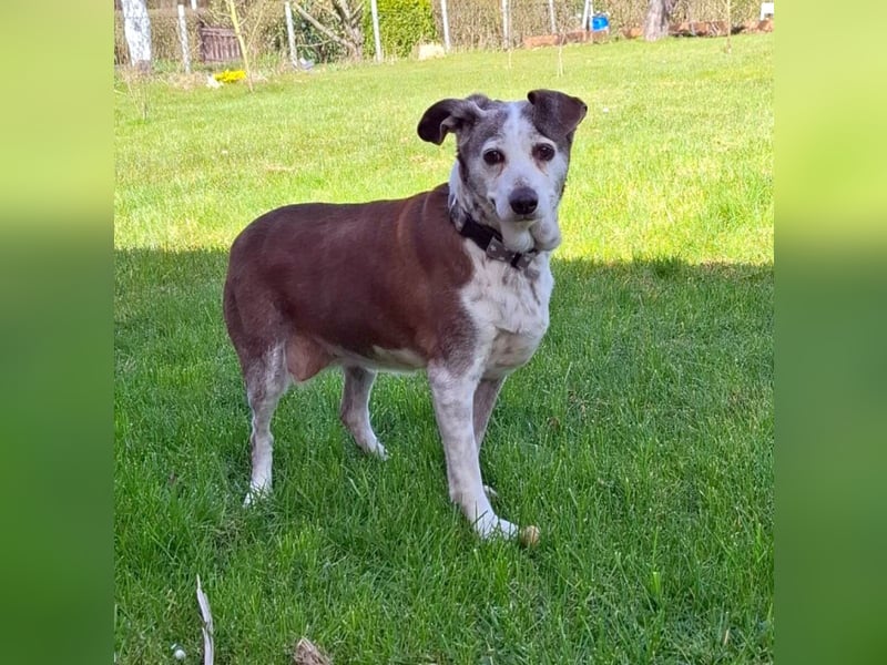 Tilda - liebenswerte Seniorin