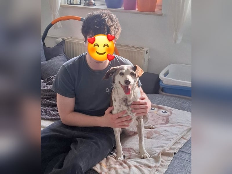 Tilda - liebenswerte Seniorin