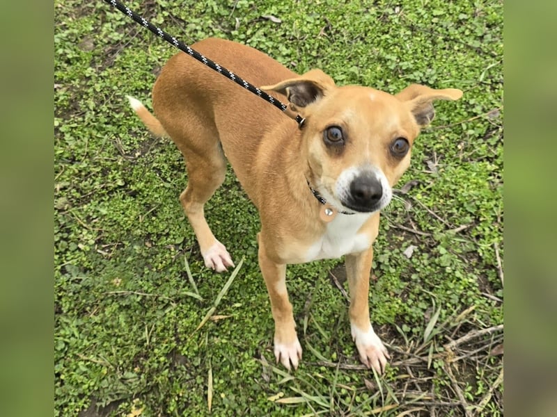 Claude oder Bonnie und Clyde