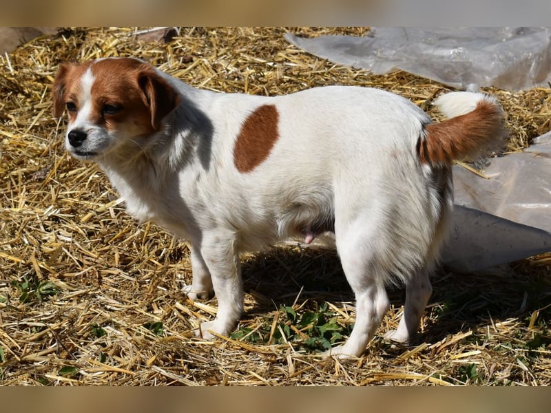 Hannah sucht Familienanschluss