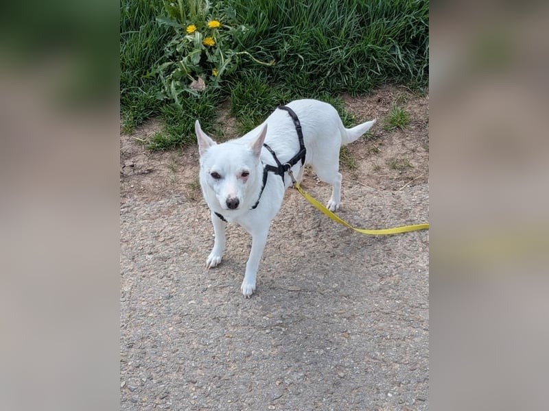 LÜTTE – Reserviert