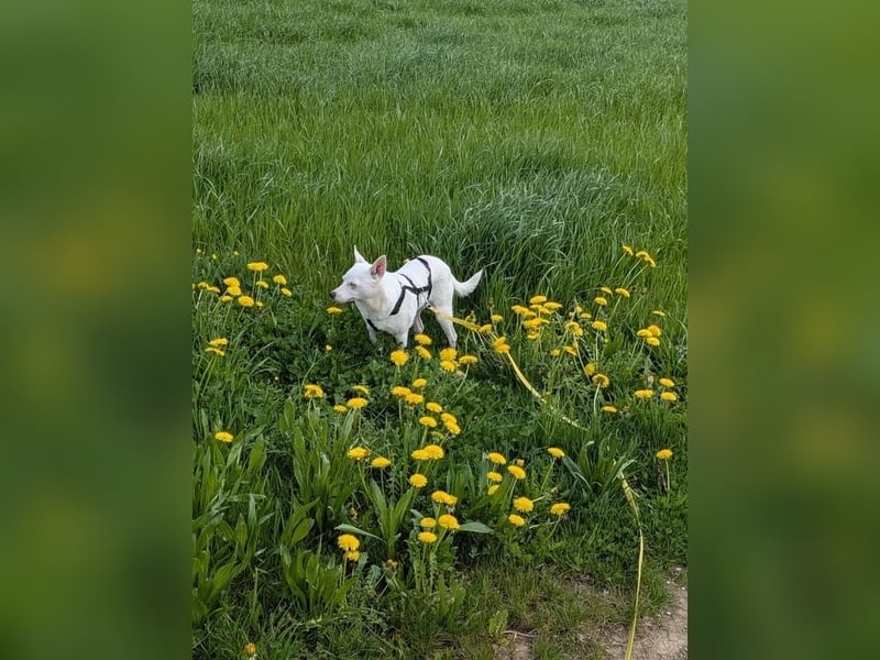 LÜTTE – Reserviert