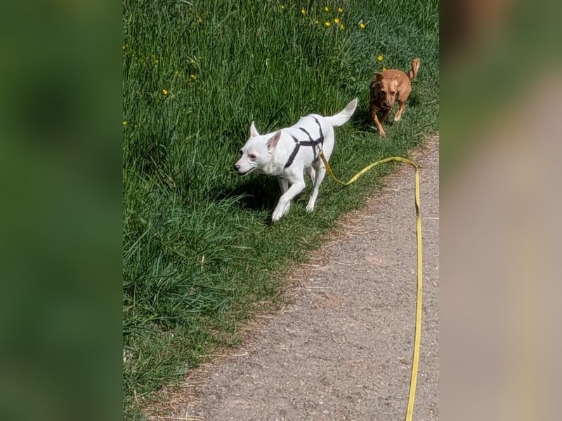 LÜTTE – Reserviert