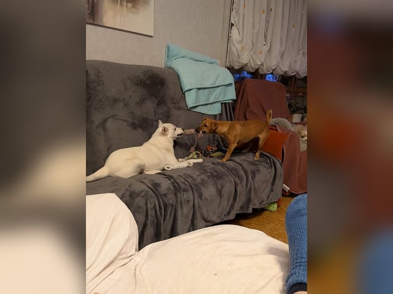 LÜTTE – Reserviert