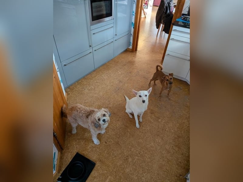 LÜTTE – Reserviert