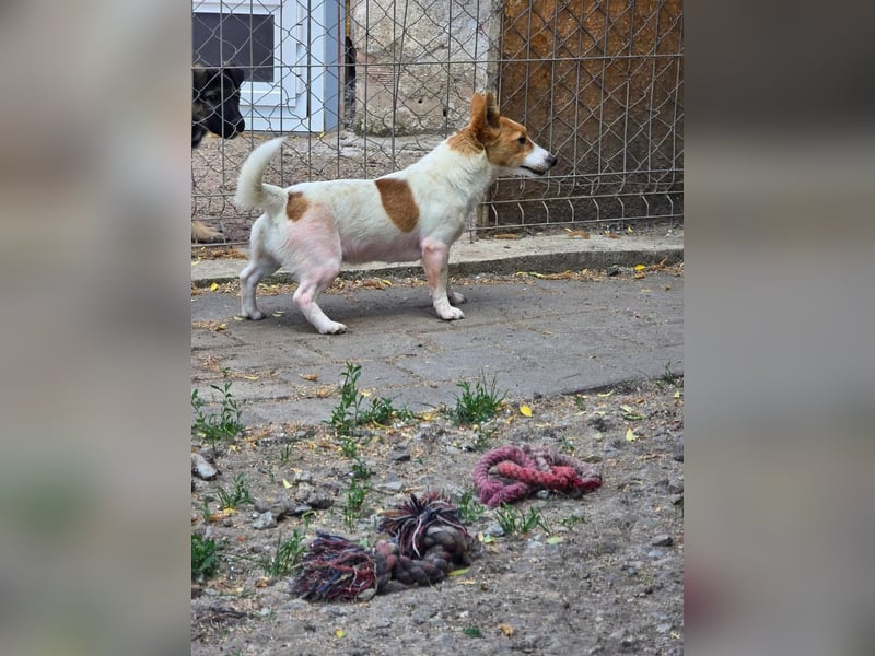 Eva - auf der Suche nach ihren Herzensmenschen