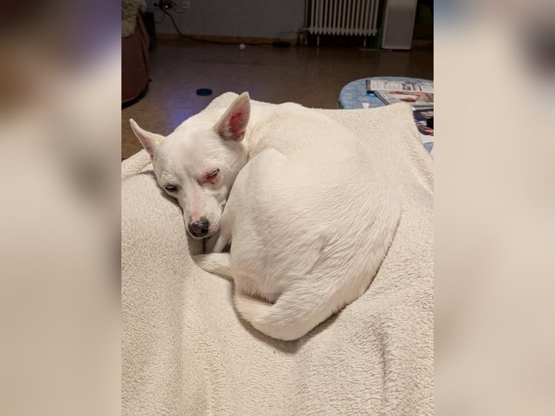 LÜTTE – Reserviert