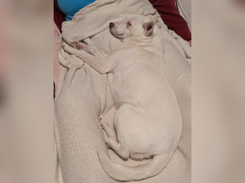 LÜTTE – Reserviert