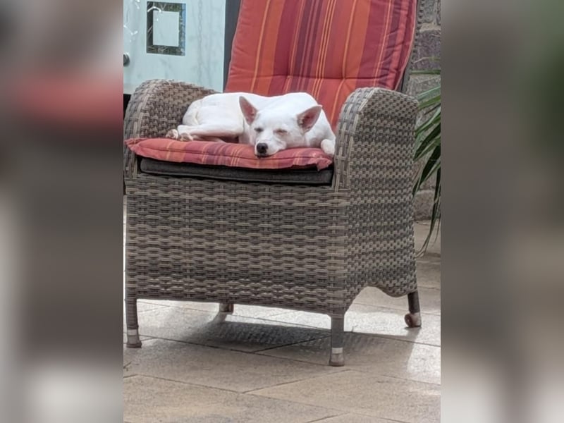 LÜTTE – Reserviert