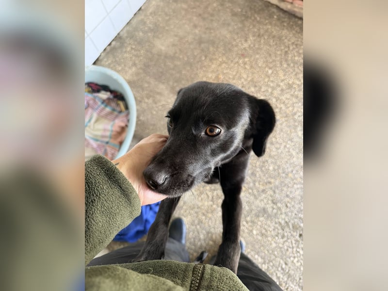 BONNIE sucht ihre Familie