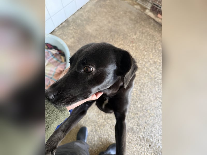 BONNIE sucht ihre Familie