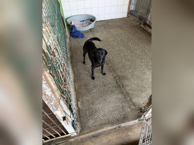 BONNIE sucht ihre Familie