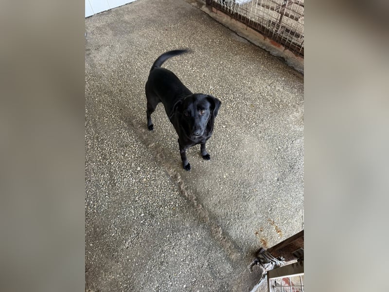 BONNIE sucht ihre Familie