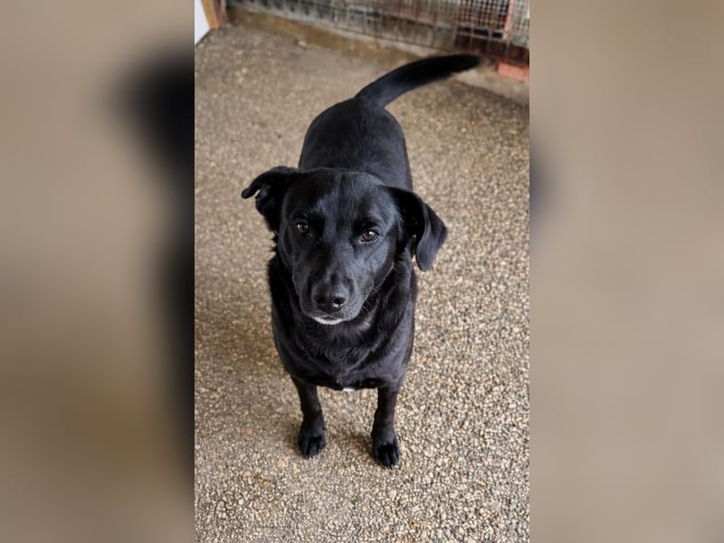 BONNIE sucht ihre Familie