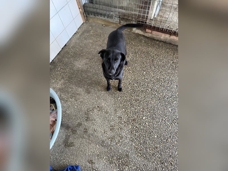 BONNIE sucht ihre Familie