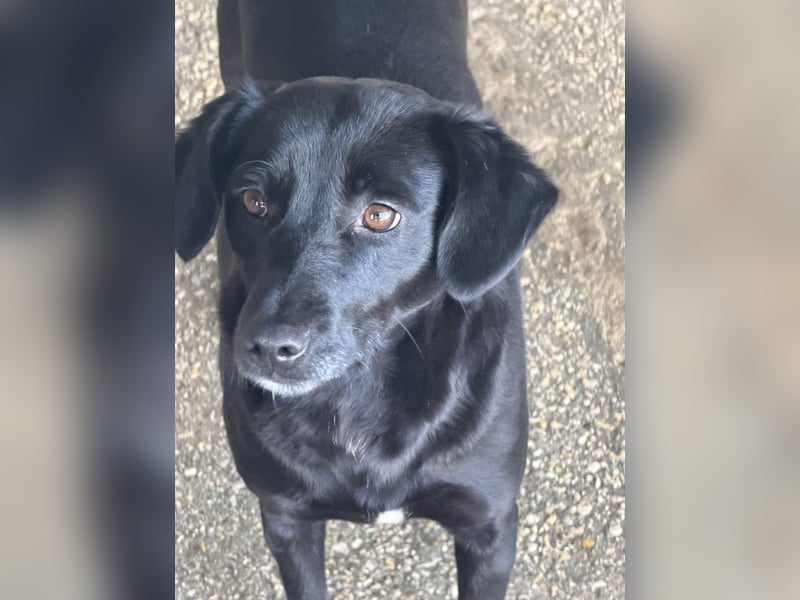 BONNIE sucht ihre Familie