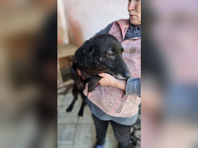 Nera sitzt noch in der Tötung