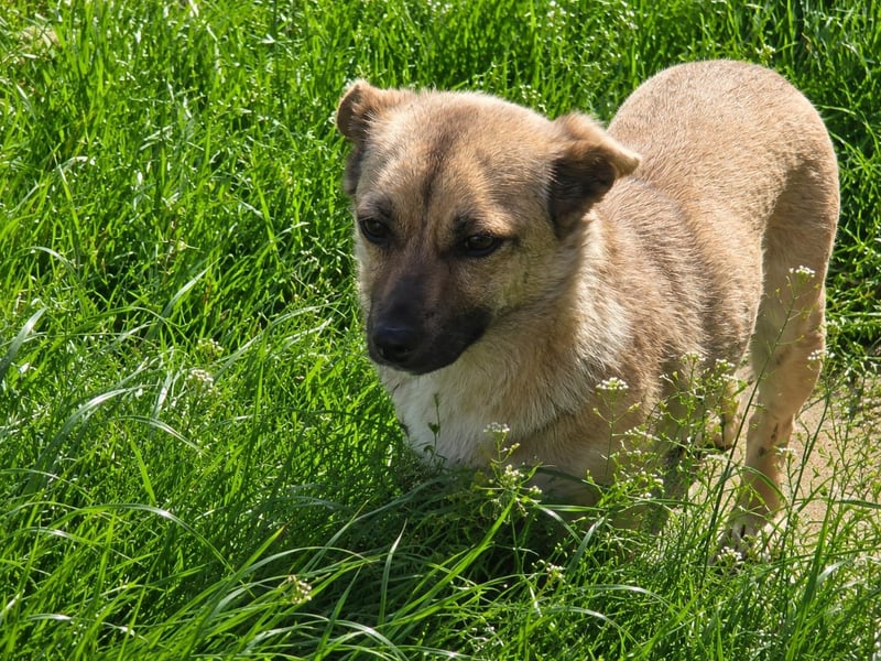 Kleine Illy freut sich auf Deinen Besuch