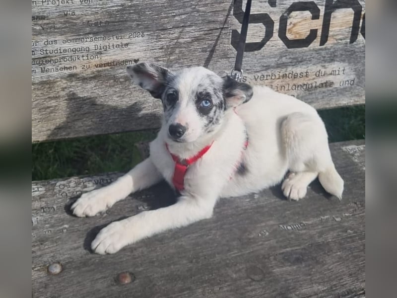 Hübsche Luna freut sich auf Deinen Besuch
