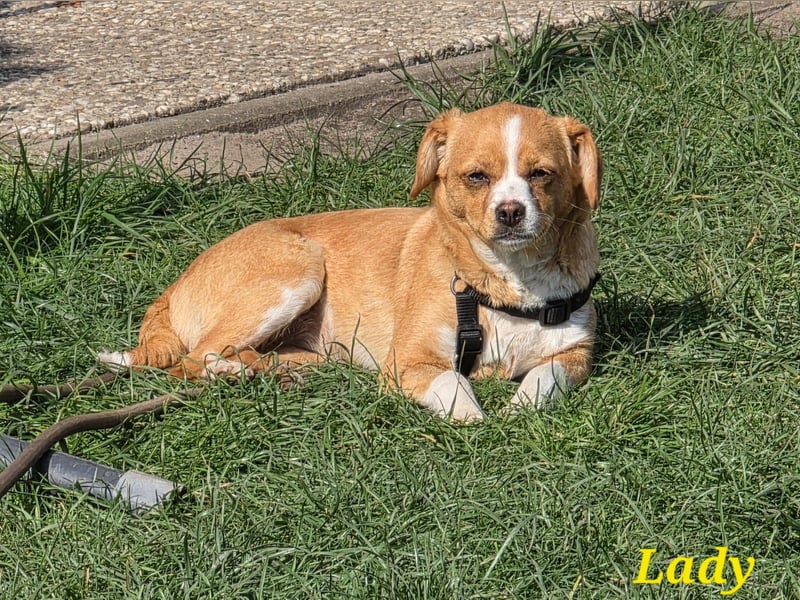 Ladie freut sich auf Deinen Besuch