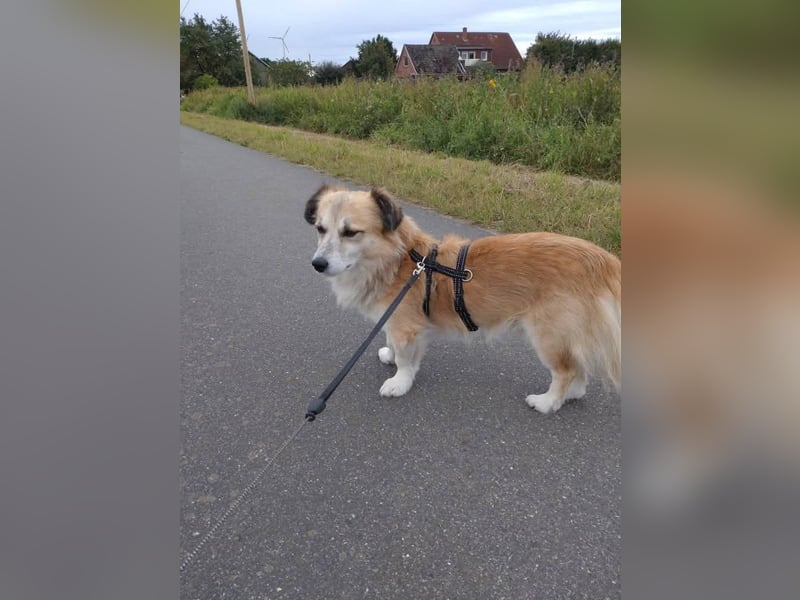 Twister freut sich auf Deinen Besuch