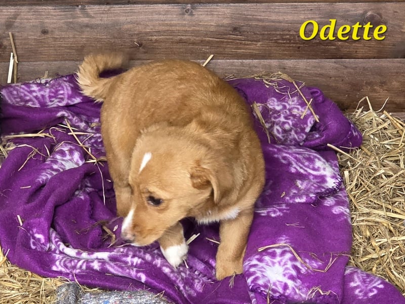 Hübsche Maus freut sich auf Deinen Besuch