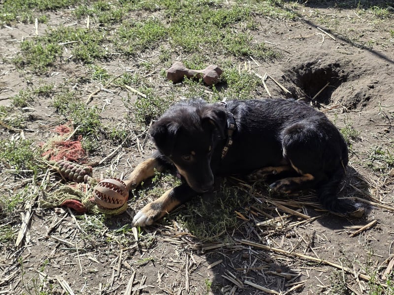 Kleine Lotti freut sich auf Deinen Besuch