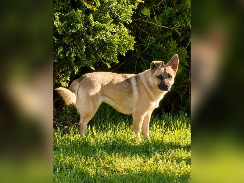 Kleine Illy freut sich auf Deinen Besuch