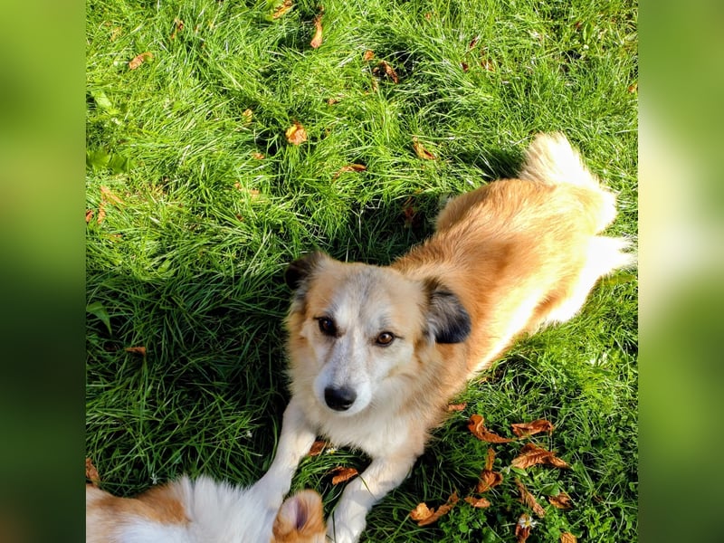 Twister freut sich auf Deinen Besuch