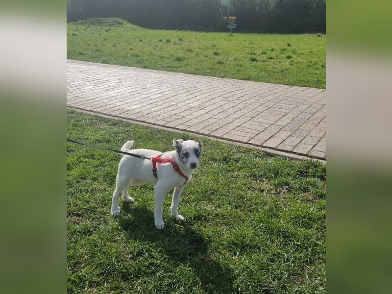 Hübsche Luna freut sich auf Deinen Besuch
