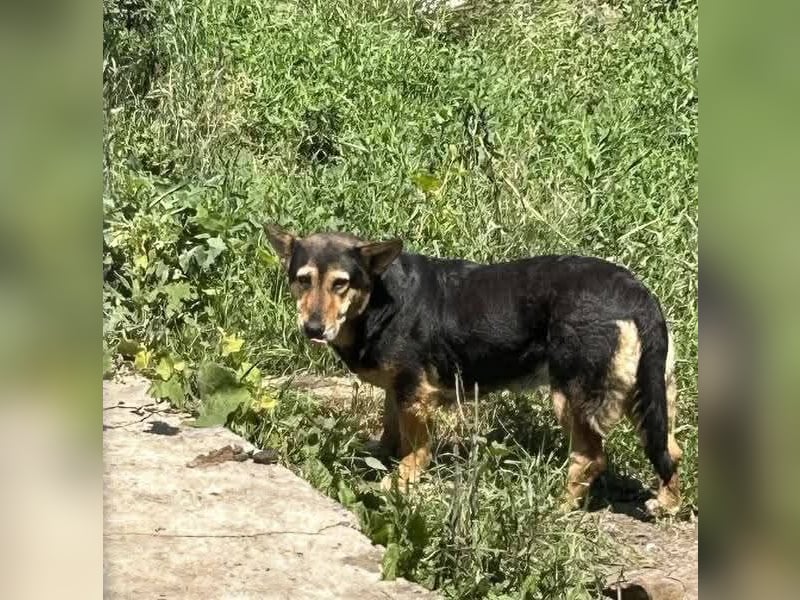 Sienna wartet schon so lange