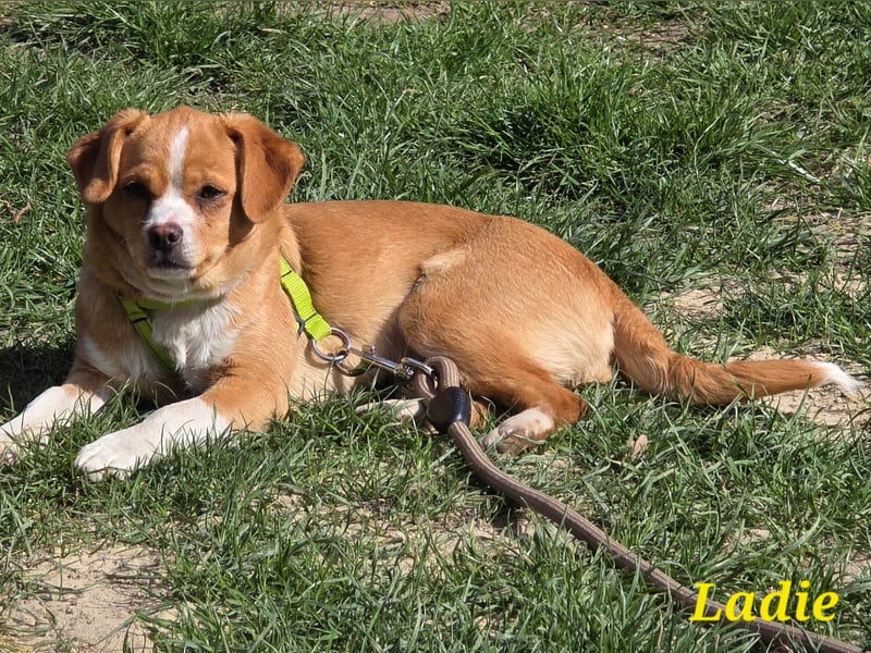Ladie freut sich auf Deinen Besuch