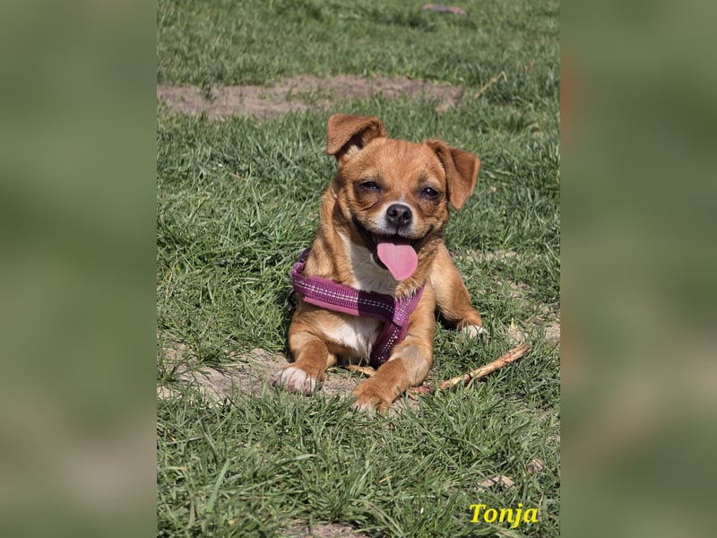 Tonja freut sich auf Deinen Besuch