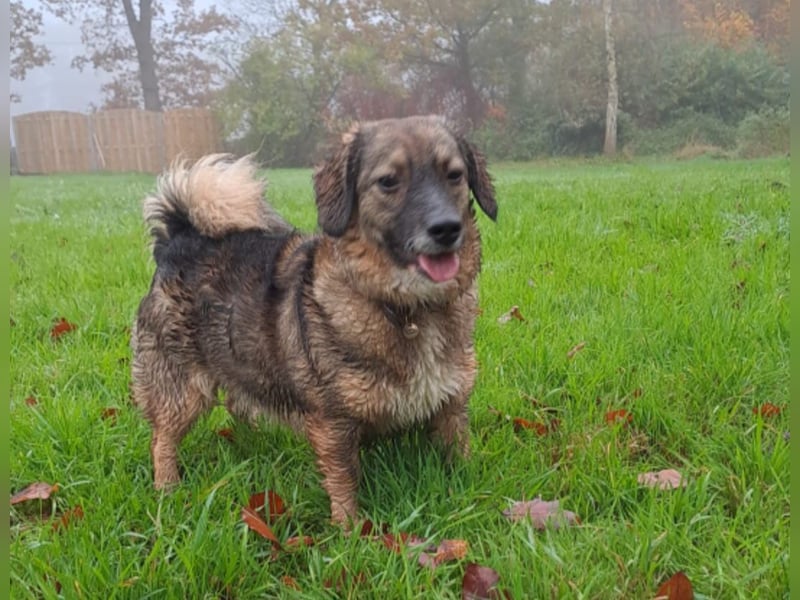 Funny freut sich auf Deinen Besuch