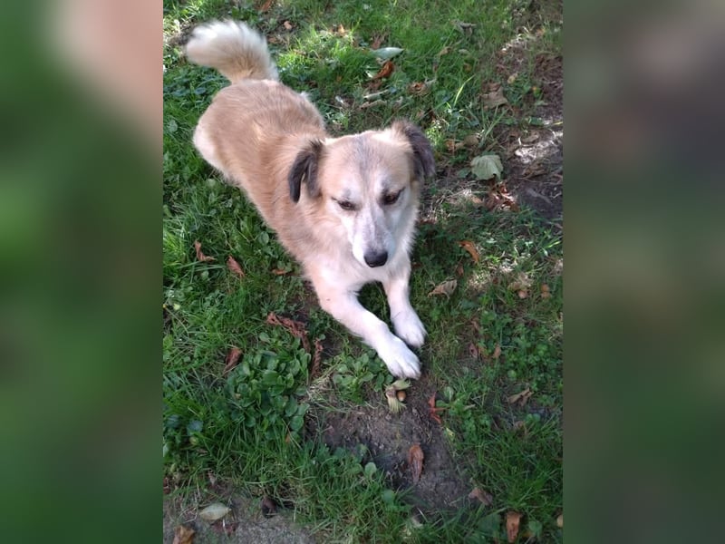 Twister freut sich auf Deinen Besuch