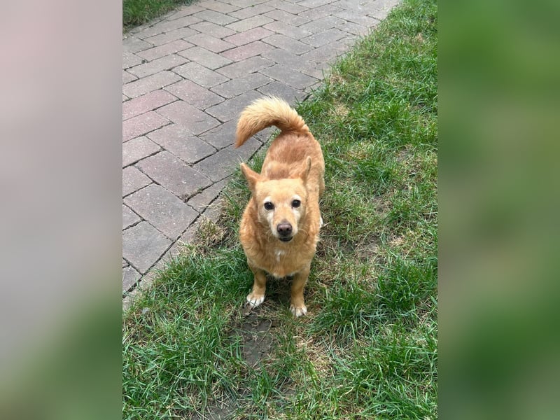 Omi Nanny hofft auf ein Zuhause