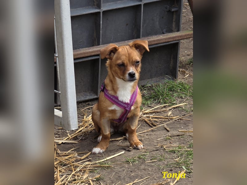 Tonja freut sich auf Deinen Besuch