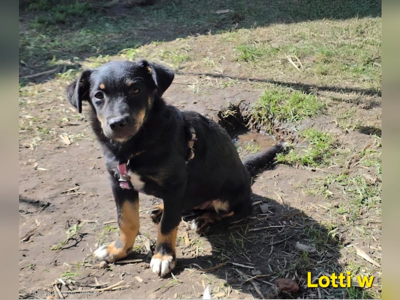 Kleine Lotti freut sich auf Deinen Besuch