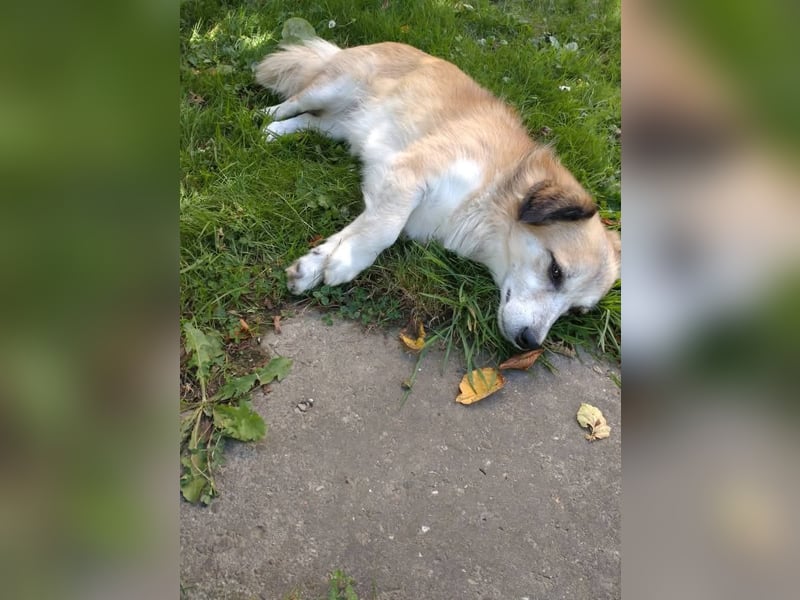 Twister freut sich auf Deinen Besuch