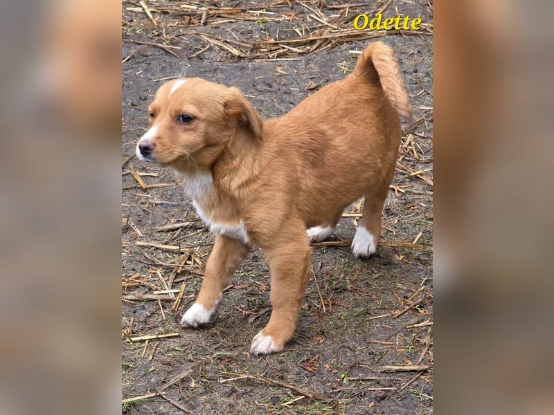 Hübsche Maus freut sich auf Deinen Besuch