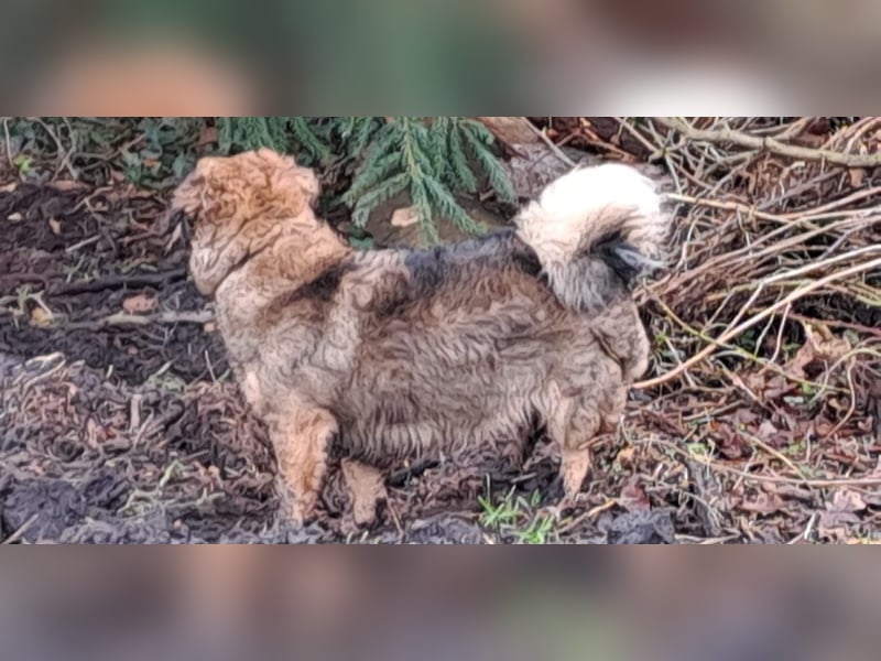 Funny freut sich auf Deinen Besuch