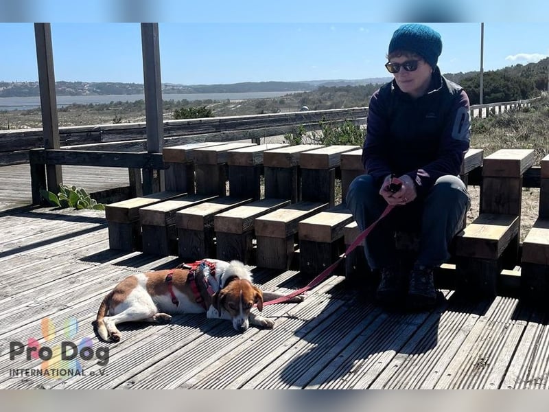 Riley sucht sein Zuhause