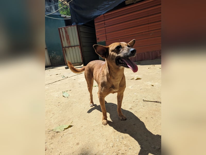 Jazzy - kleine Abenteurerin ️