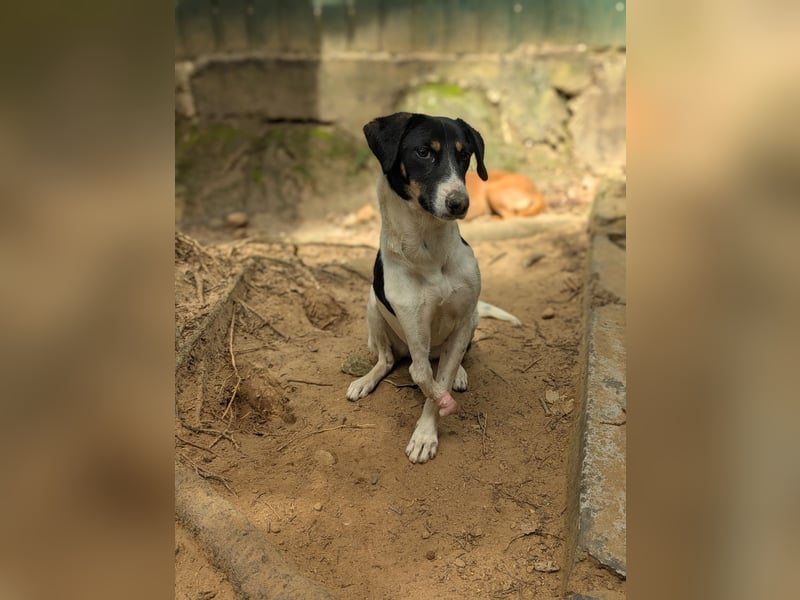 Maya - die furchtlose kleine Kämpferin! 