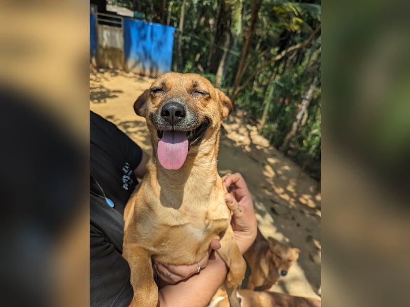 Jazzy - kleine Abenteurerin ️